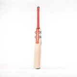 Astro 5 Star Adult Cricket Bat