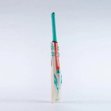 GEM 1.1 Players Cricket Bat