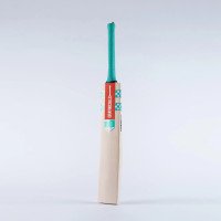 GEM 1.1 Players Cricket Bat