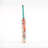 Gem 2.0 Players Adult Cricket Bat