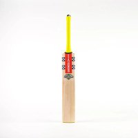 Tempesta 1.0 300 Junior Cricket Bat