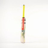 Tempesta 1.0 Warrior Junior Cricket Bat