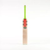 Tempesta 1.3 200 Adult Cricket Bat