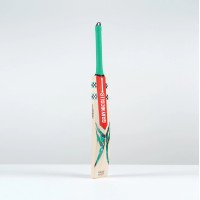 Ventus 1.0 Players Cricket Bat - Adult