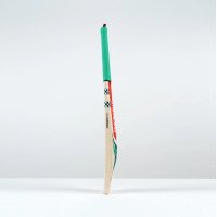 Ventus 1.0 Players Cricket Bat - Adult