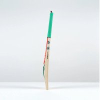 Ventus 1.0 Players Cricket Bat - Adult