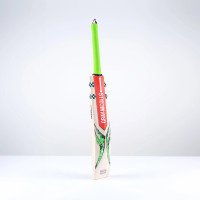 Ventus 1.3 5 Star Cricket Bat - Adult