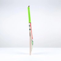 Ventus 1.3 5 Star Cricket Bat - Adult